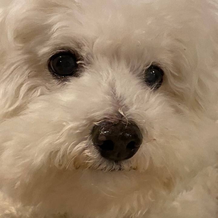 E22c378f c264 400f b389 12c37c28419a 1640775230309