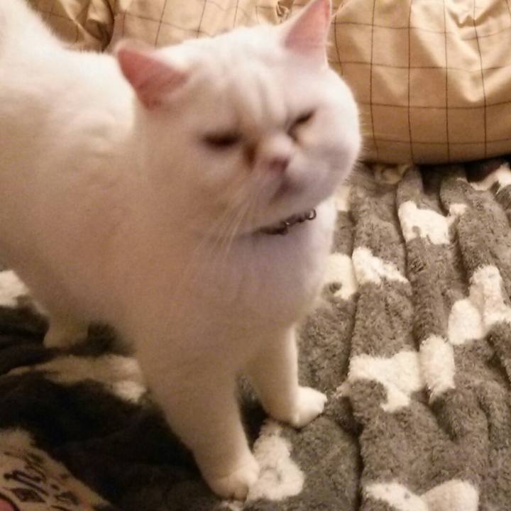 E22c4646 3f2e 4258 b1f8 46c751c60bd9 1522929858098