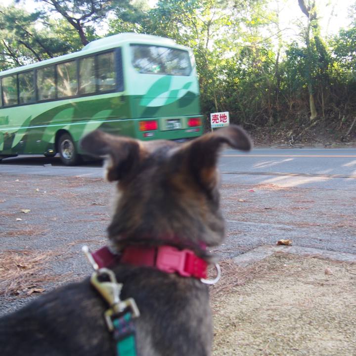 E22c4862 6a8a 4a54 9d31 863c738f44e5 1543494565158