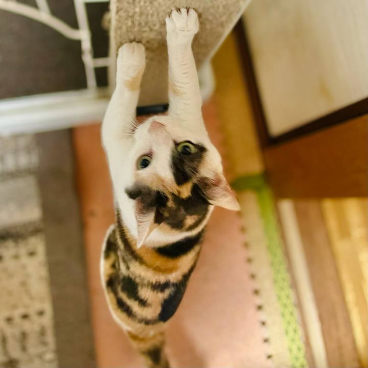 E22c4af7 cbce 4f61 b949 e79b59151c98 1654134301245