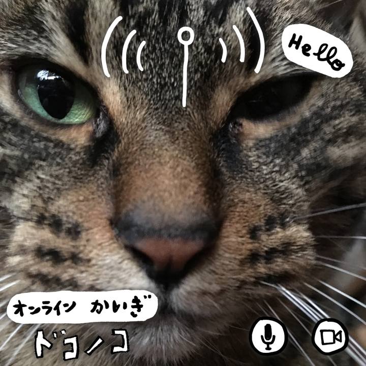 E22c5eca f744 4a63 9dc8 6ff6e1513253 1590813979770