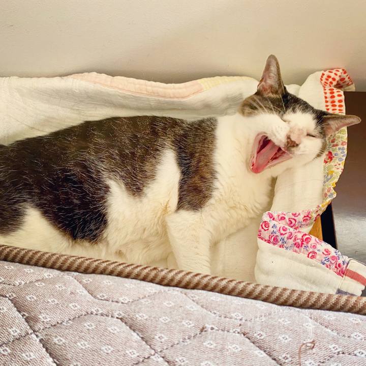 E22c7bdb 20b7 44b7 b037 973873fe89c9 1598074405746