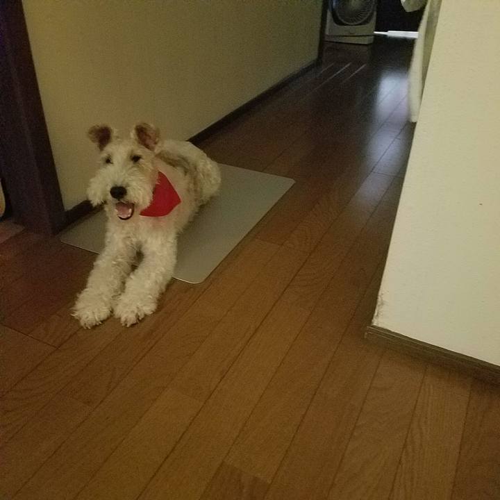 E22cc13f ad6e 4848 a811 64c82e970fb3 1533483006411