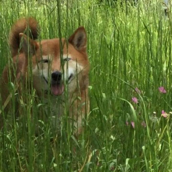 E22cceaa ba41 4eab afa0 832161884249 1557721175625