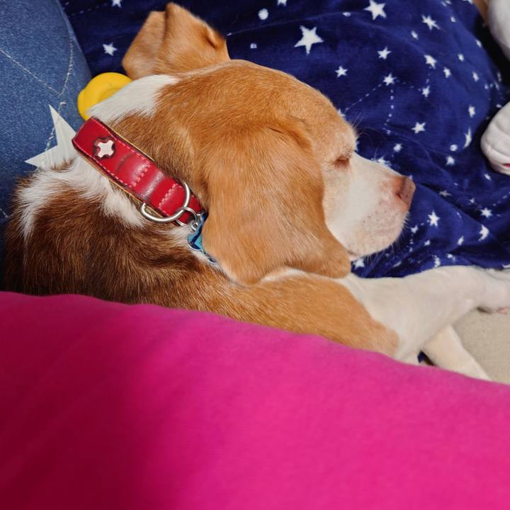 E22cd217 7f30 4d03 b57a 3af547cc8049 1756558534197