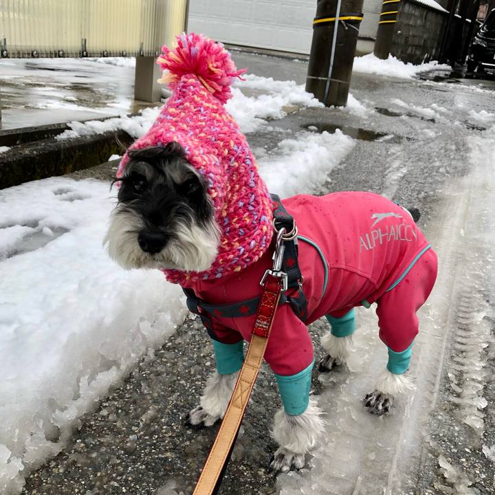 E22cdce3 3c5a 4ed0 a6b0 8df5b74baf11 1671869758489