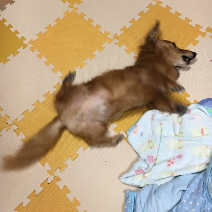 E22d0b2f 5100 4b09 97d8 69a0791acd89 1600168906957