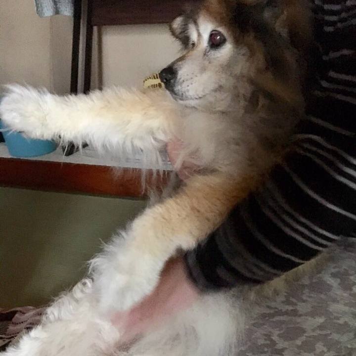 E22d3f11 bdad 4a41 b400 dcf814e7e93a 1555282123085