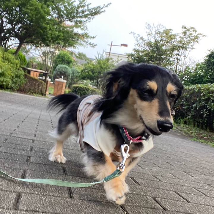 E22d7151 7e87 4a47 b974 4adad23455c4 1751928962427