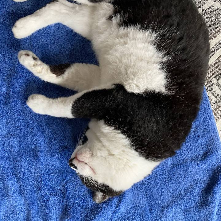 E22d8429 cd5a 4f0c 887d 06b368998600 1661044884971