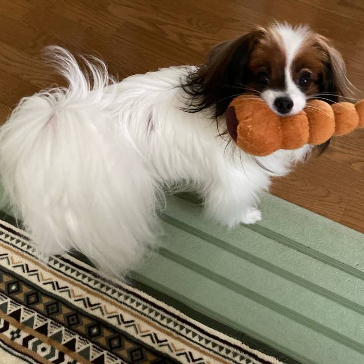 E22d8460 8fb0 4229 a3d6 0bd2869e5d45 1631926355167