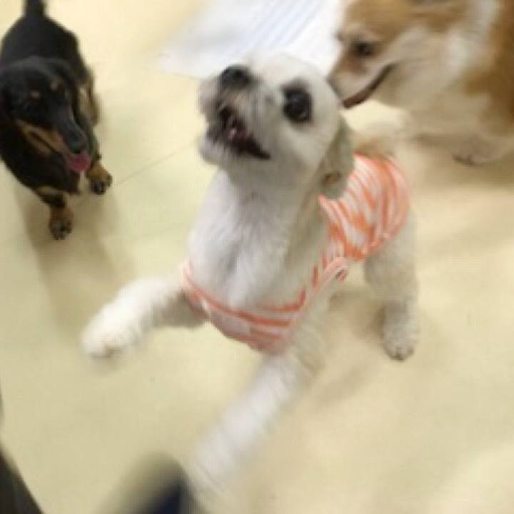 E22da47c 0f18 4f07 8e01 cf3456d4d923 1529492969156