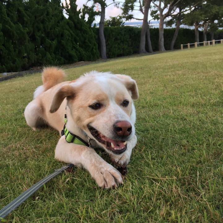 E22dadb2 8d86 4761 b1e4 48604e0378e2 1530442496563