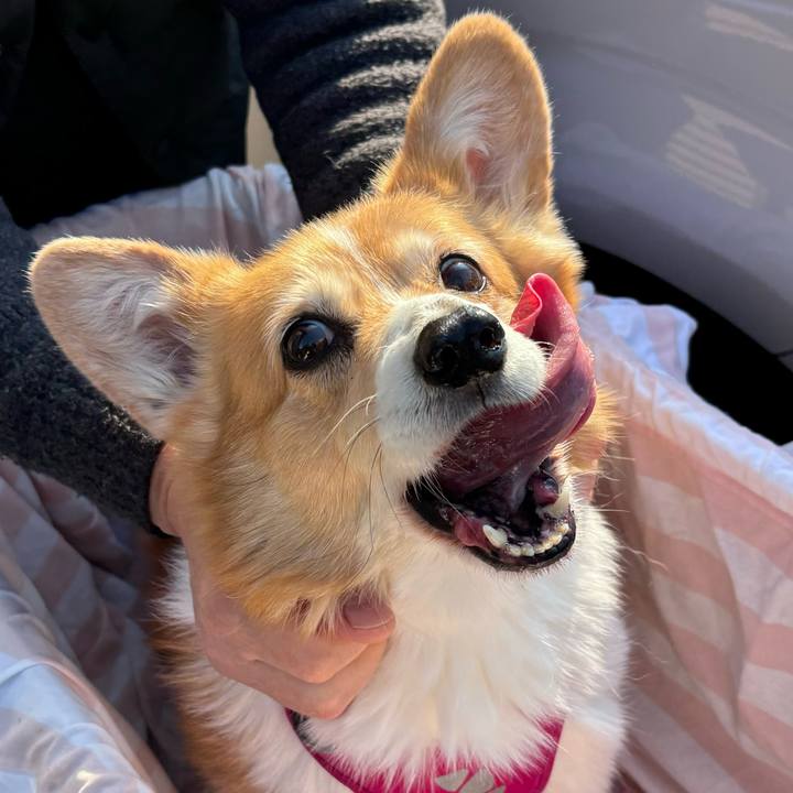 E22dae3c 01ce 4afc a7dd 362c562affdc 1737784034487