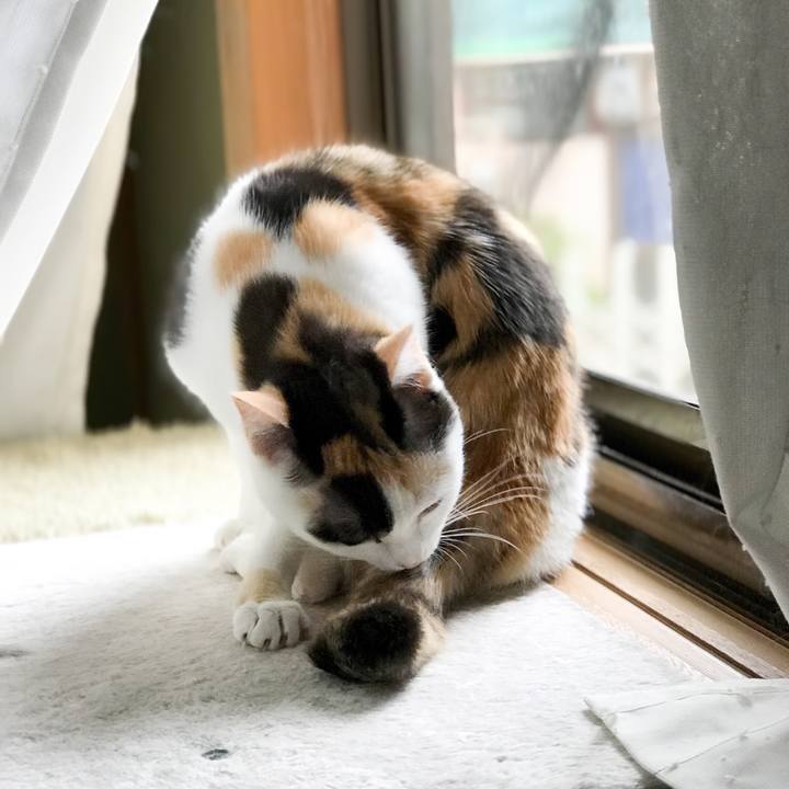 E22dbbd9 7f8e 476c ade5 7e4b8aa9b92b 1530410057560