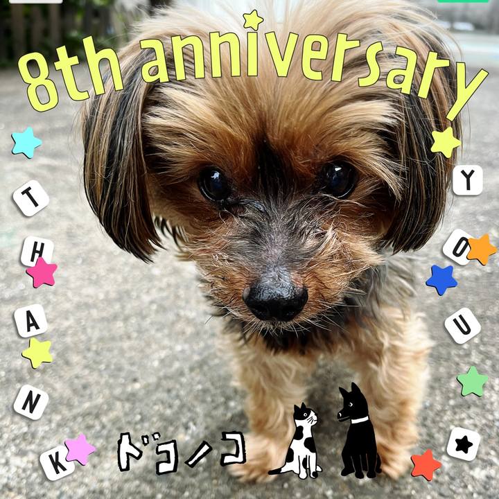 E22dddd8 3cac 4f8f b216 9e69d0b23073 1717553799873