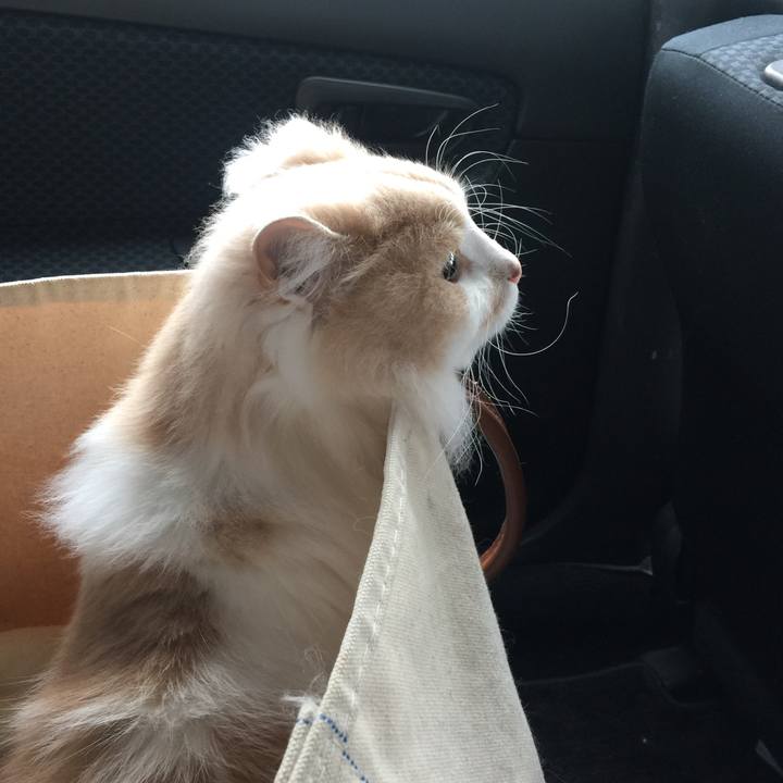 E22df76f a90f 4957 8b70 54b9fe583f11 1528777180882