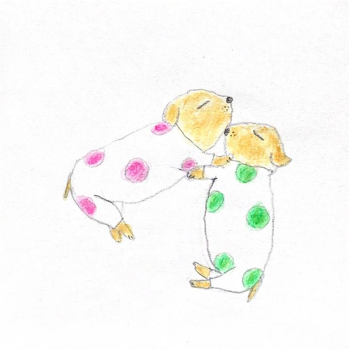 E22e1f1e 2b14 4cfd 8d37 520c142822f5 1671664813686