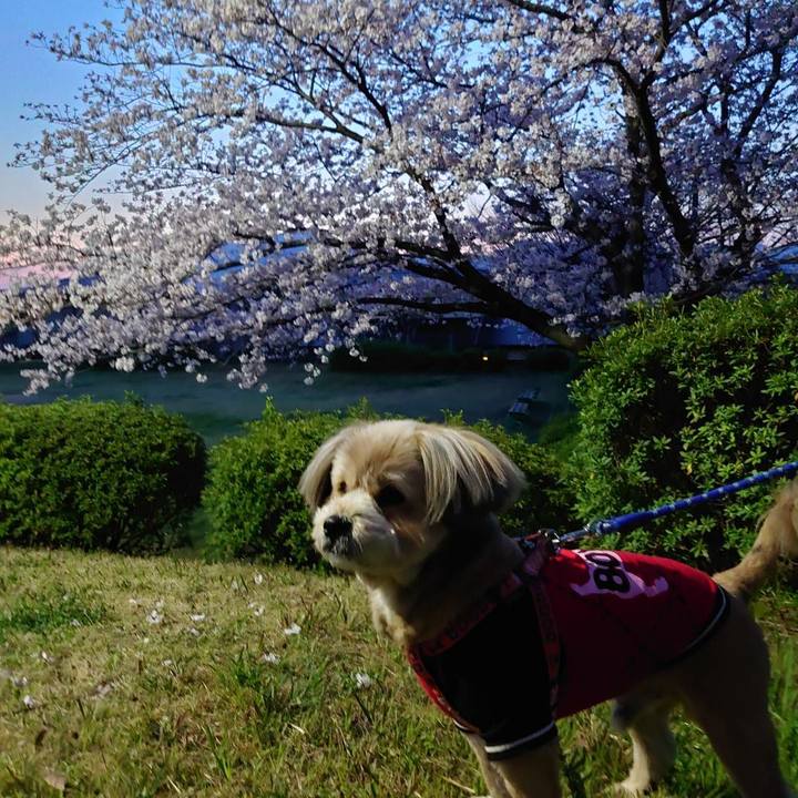 E22e779d bdcb 4b3f 8d63 11714f551e82 1616854125931