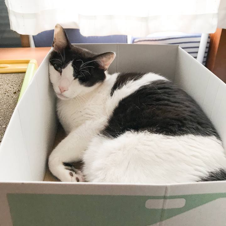 E22e8129 8d7b 41b5 85a2 b29830af6ff0 1530149534720