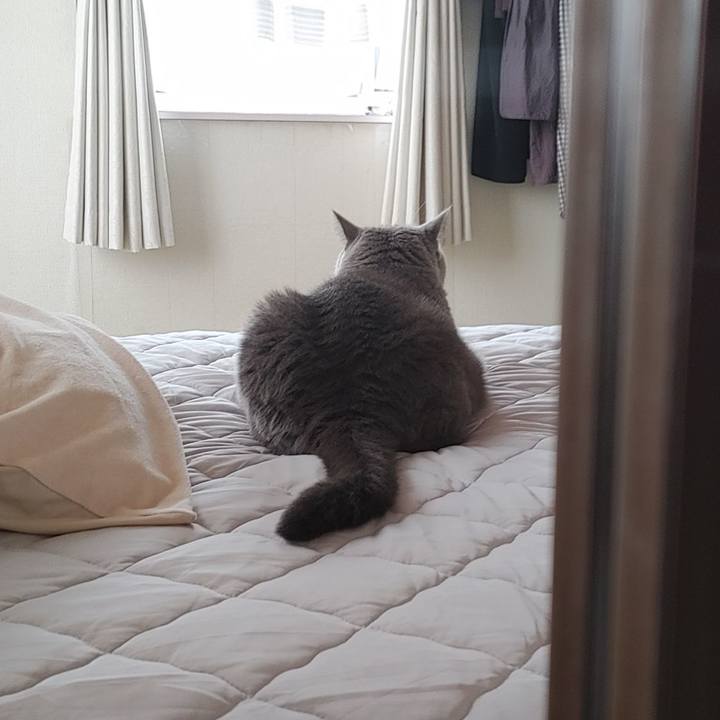 E22e913f 7731 4a7f a797 459c8e34306d 1693195127977