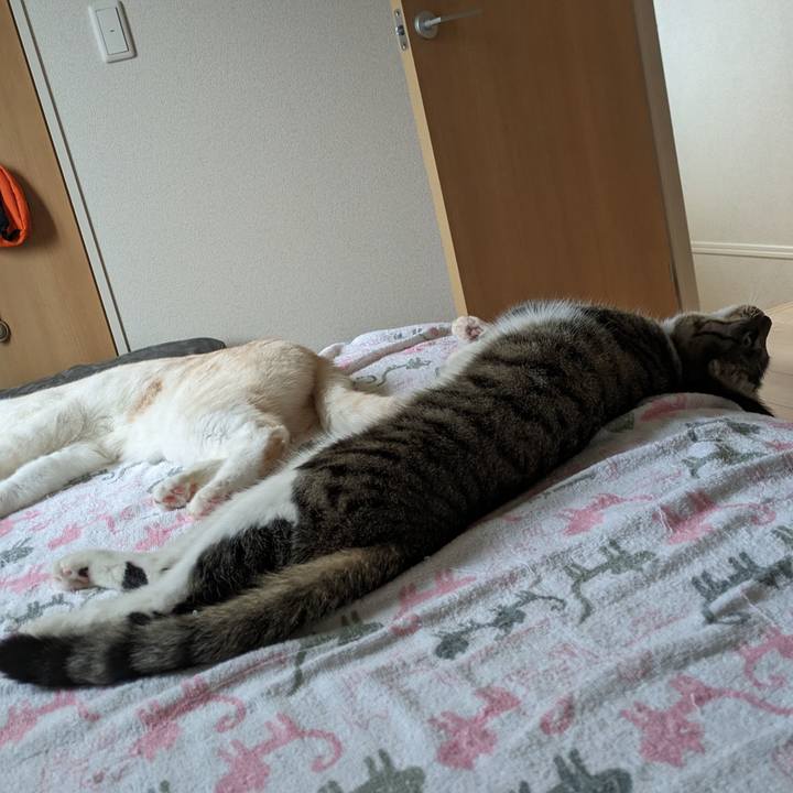 E22eba8f 7e1c 4dc1 8575 f7552100cb4a 1715597578178