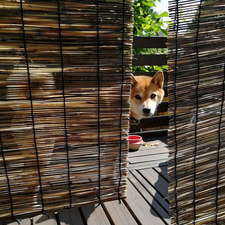 E22ef8f7 66a5 4356 974b 097c99ee550d 1689598311900