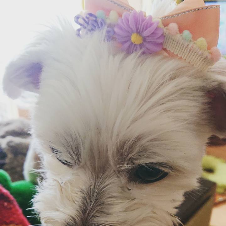 E22f3283 f38d 4707 a658 c0f1ec0b9be7 1552371780548