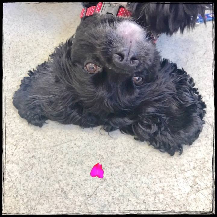 E22f458b 2779 443f 9731 0d4b5d2961b0 1528178688772