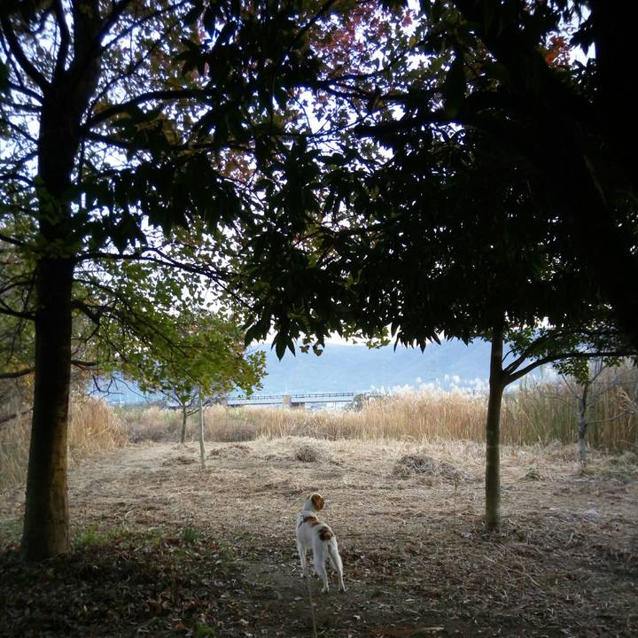 E22f5576 245b 4935 a0f5 ca2b47229a14 1513382973926