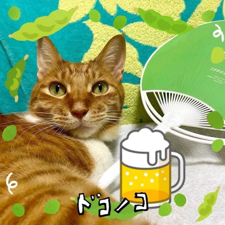 E22f57f7 2973 4702 a445 3cef566adc6a 1721308964034