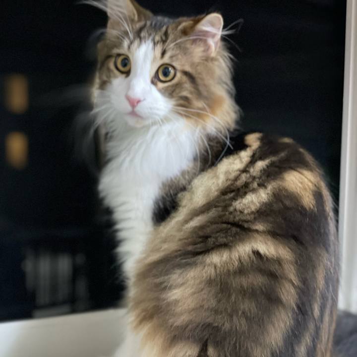 E22f9a6f 83b0 44f4 ae8e ba2af69ae9e5 1638392772331