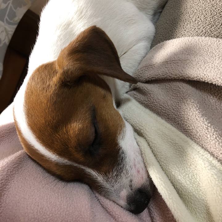 E22fb222 29f6 4f5d 8aec 490b36e83b7b 1514382413025