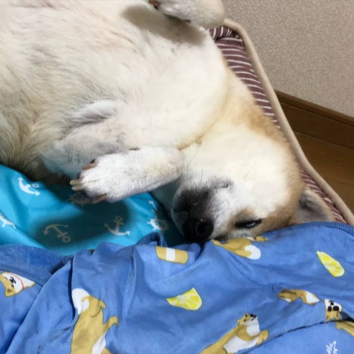 E2302de7 e85a 43d7 97c3 b52d8040f9bf 1565919984593