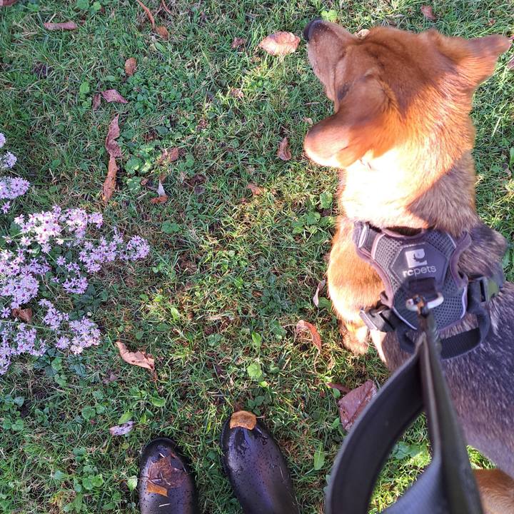 E2302f12 21c5 4f0a bfff e528c25cbbed 1759412264243