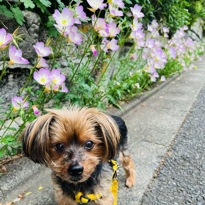 E2304805 ef7f 44fd a605 28d371e07405 1714369221165