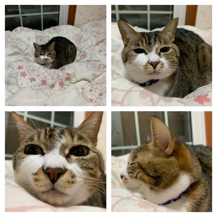 E2305215 57f1 4ba6 bfa6 4b5923120539 1576937137300