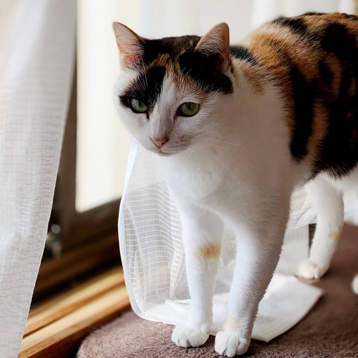 E2307780 a539 4284 bd8c 2d1e5bc755bb 1595124134355