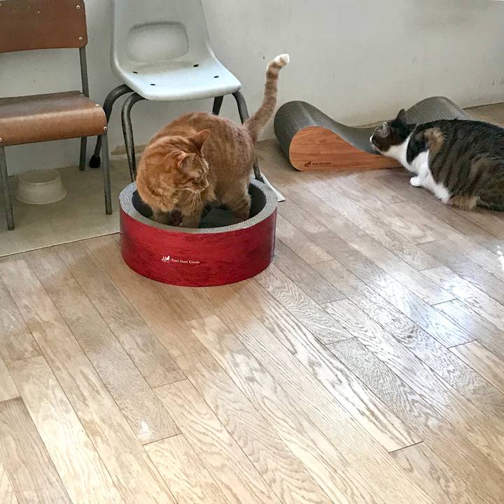 E2307cb7 1763 4509 b0ca f81335c5aeb9 1518148173191