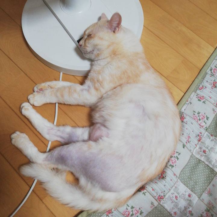 E2308d22 cbab 4ffa 840a 0f83ecb5efaa 1692052914219