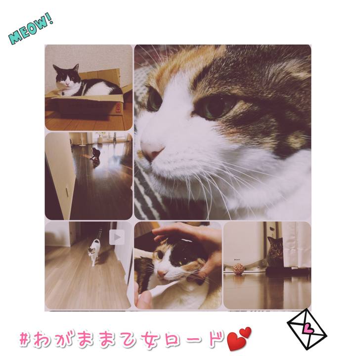 E2314cb7 f370 4178 a86a cf62e8d62130 1568105111913