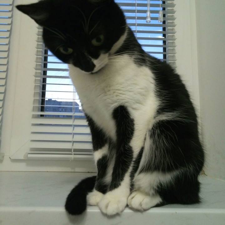 E231a6a6 48d6 4d08 a65a 573ab1110b3a 1526319939942