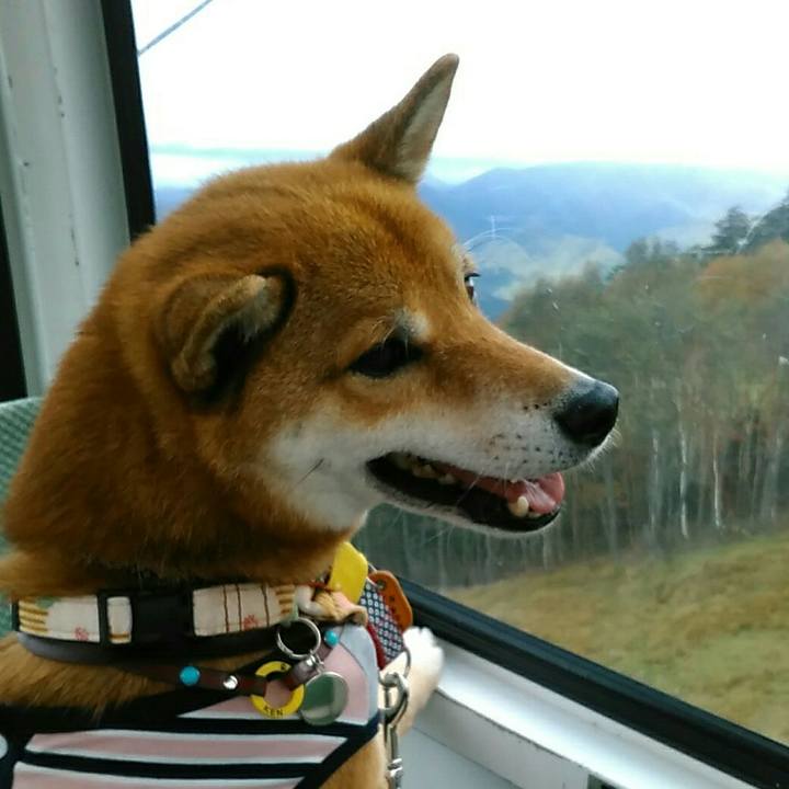 E231ed4f 2303 4a4c a5d6 9bf834295c5d 1538908126773