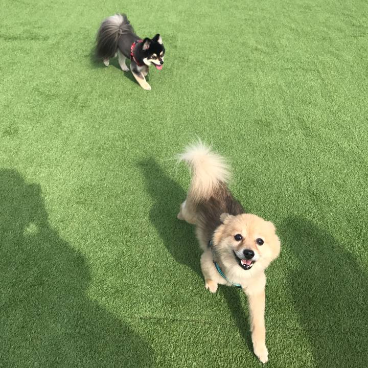 E231f115 fe20 433b 9399 6879cca43c76 1565592998590