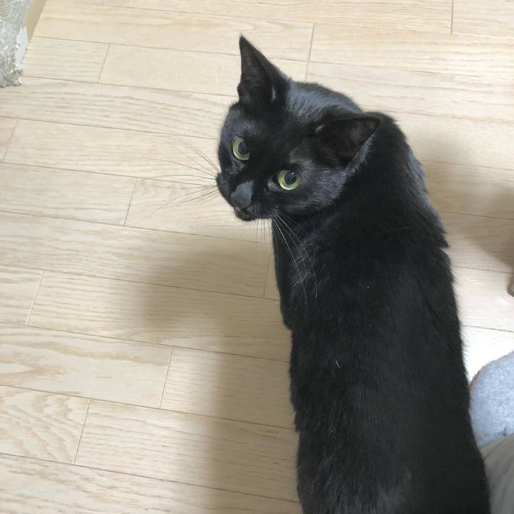 E231f4d4 0282 41f8 b6d3 64aba36ad739 1616504627342