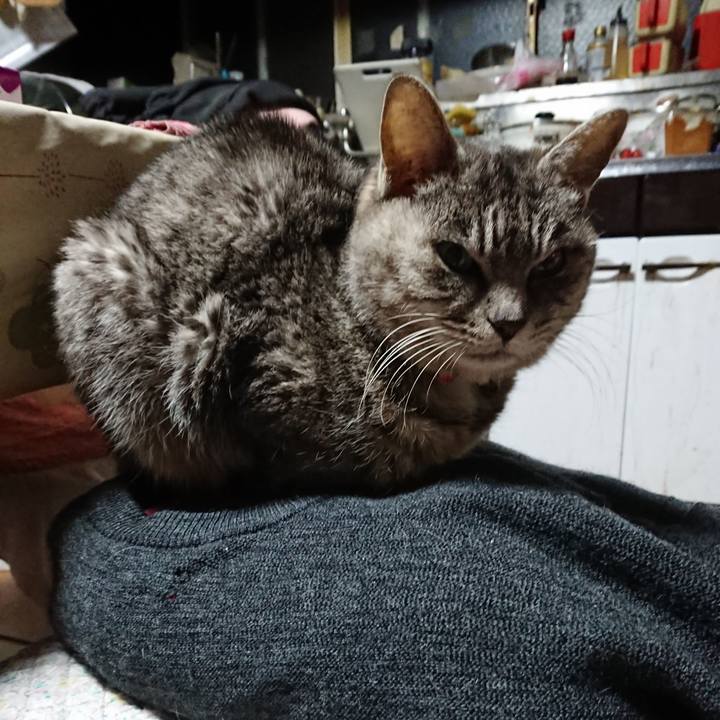 E23213d4 36ec 4152 9e4a 66f7e03a3d80 1578426637775