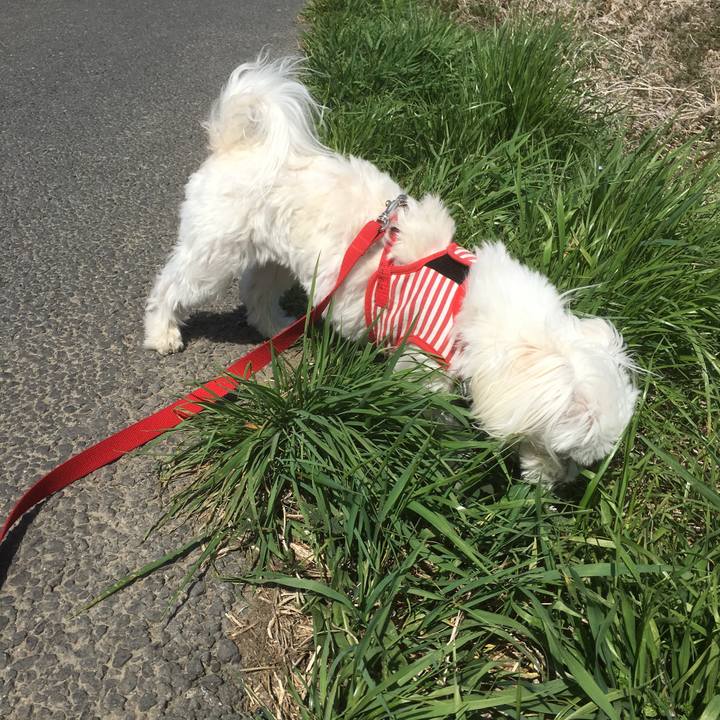 E2321fee 70bb 45e3 b33f 9f8ae87d1362 1522935893666