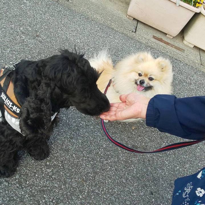 E23274b0 214f 43d7 96b8 2ecddbcca06c 1681791532174