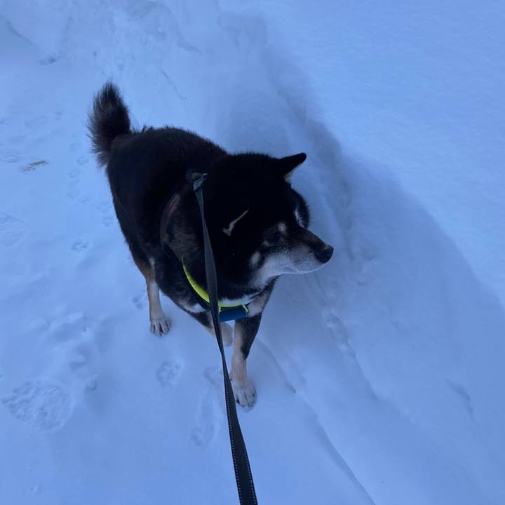 E23279bd 1966 428e 81c1 2d96ba25eb01 1675303342238