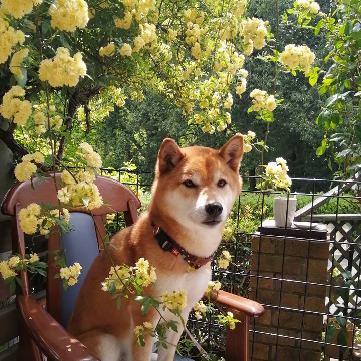 E232bcc5 b2e7 4763 864f f0e89ce082c1 1650709996003